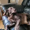 Jean Beckett - @jean.beckett - TikTok