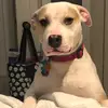 user109494 - @sarahjeansmithbeckett - TikTok