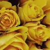 jeanbenge865 - @jeanbenge865 - TikTok