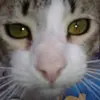 Jean Berkemeyer - @jean.berkemeyer - TikTok