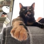 Jean W. Berkompas - @jeanberkompas - Instagram