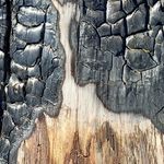 Jean-michel Bernhardt - @bern.art003 - Instagram