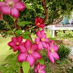 Jean Blackman - @jeanblackman100 - Instagram
