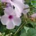 Jean Blain - Facebook
