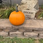 Jean Bloch Bronk - @jeanbronk - Instagram