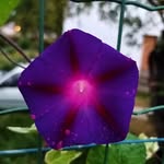 Jean Pierre Bloch - @jeanpierrebloch - Instagram