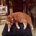 Mary Jean Bolen - Facebook