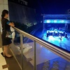Jean Balanag Boles - @2183014114 - TikTok