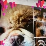 Jean Born Bisulca - @jeanbornbisulca - Instagram