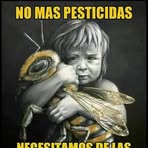 Jean Bosto - Facebook