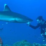 Jean-David Georges Paulus Bost - @jdgpbst - Instagram