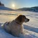 Jean-Claude Bouffard - Facebook
