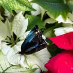 Jean Bowers - @bowers.jean - Instagram