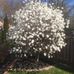 Jean Bowers - Facebook