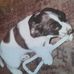 Jean Bowes - Facebook