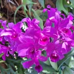Jean Bowles - @jean.bowles.5 - Instagram