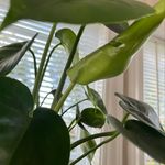 Jeanne Boynton - @jeanne.boynton - Instagram