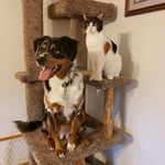 Briley - @briley.jean.kemper - Instagram