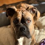 Briley Jean - @brileyjean16 - Instagram