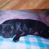 Jean Brunner - @jean.brunner5 - TikTok