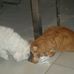 Jean Brunner - Facebook