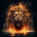 Jean Bul - Facebook