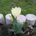Jean Burdick - Facebook