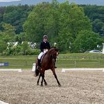 Emma Jean Burnham - @ejb_sporthorses - Instagram