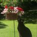 Jean Burnham - Facebook