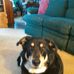 Jean Burnham - Facebook