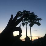 jean R. burnham - @jeanr.burnham - Instagram