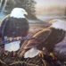 Jean Burr - Facebook
