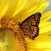 Jean Burr - Facebook