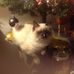 Jean Burrows - Facebook
