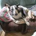 Jean Burrows - Facebook