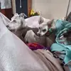 Jean Burrows Moore - @jean.burrows.moor - TikTok