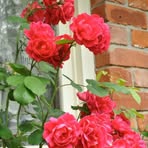 Jean Burson - Facebook
