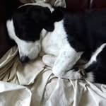 Jean Button - @jeanbutton42 - Instagram