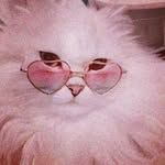 Jean-Nac Callender - @sassypinkcatt - Instagram