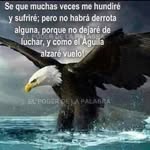 Jean Cantu - @jean.cantu.37 - Instagram