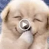 jean capps - @jean.capps - TikTok