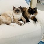 Jean Carpenter - @jeancarpenter6411 - Instagram
