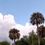 Jean Carpenter - @carpenter9690 - Instagram