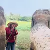 krystal.jean.cates - @krystal.jean.cates - TikTok