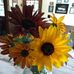 Jean Chadwick - Facebook