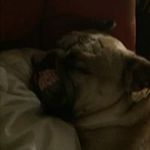 Jean Childs Fortune - @mjfortune29 - Instagram