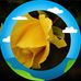 Jean Chaltin - Facebook