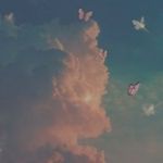@jeanc_ofer - Instagram