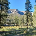 Jean Coffman - @jollyjean2024 - Instagram