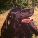 Jean Coffman - @jeancoffman39 - Instagram